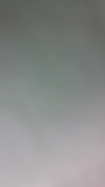go_rocco  11-12-2021 Recorded Video Cam